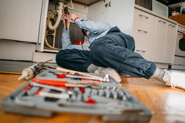 Best Affordable Plumbing Services  in Janesville, CA
