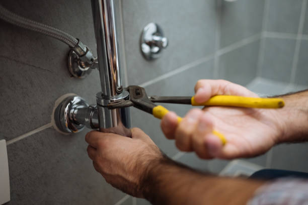 Best Plumbing Services Near Me  in Janesville, CA