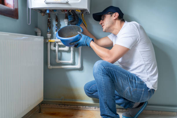 Best Emergency Plumber  in Janesville, CA
