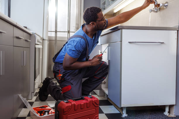 Best Same-Day Plumbing Service  in Janesville, CA